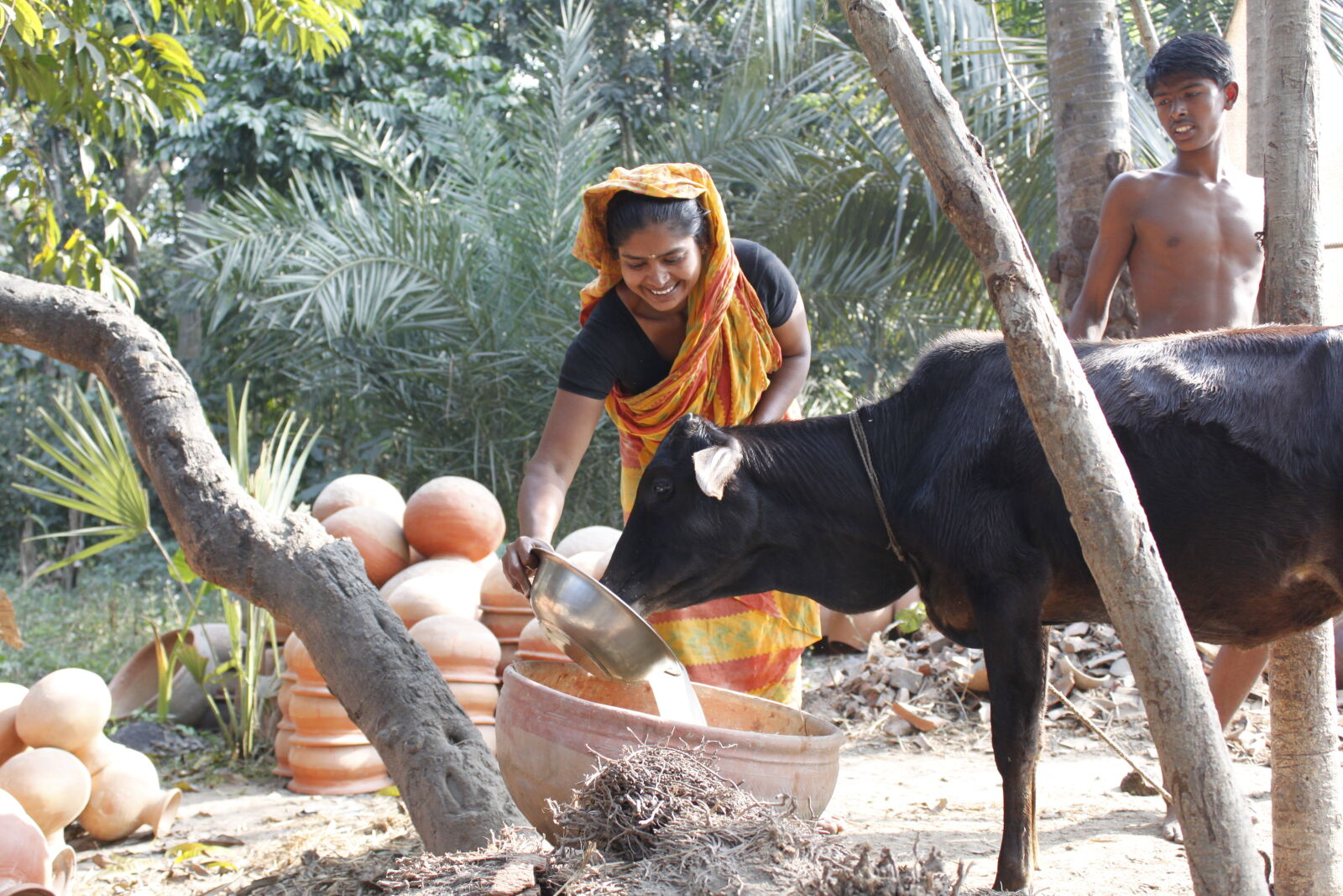 Canon EF-S 18-55mm F3.5-5.6 IS sample photo. Bangladesh, canal, cow, fisherman photography