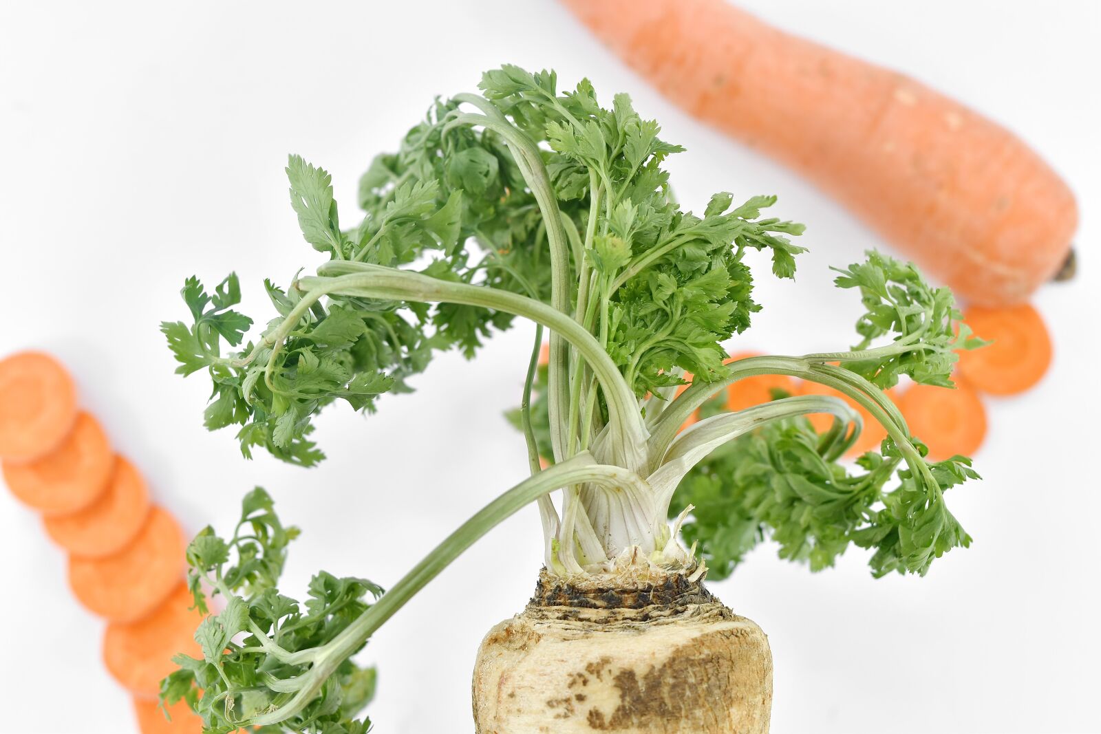 Nikon D5500 sample photo. Carrot, green leaves, organic photography