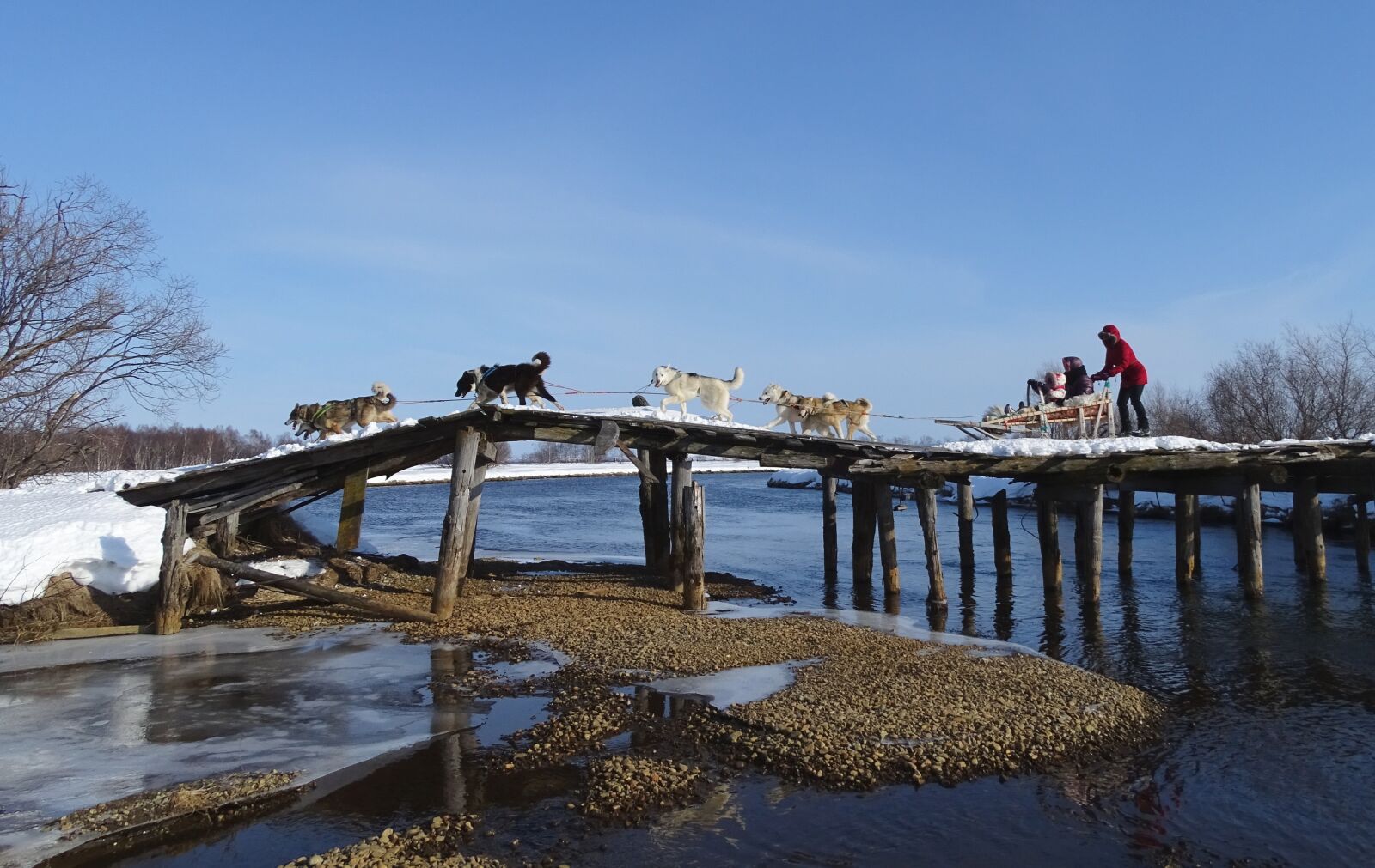 Sony DSC-HX400 sample photo. Bridge, small river, dog photography