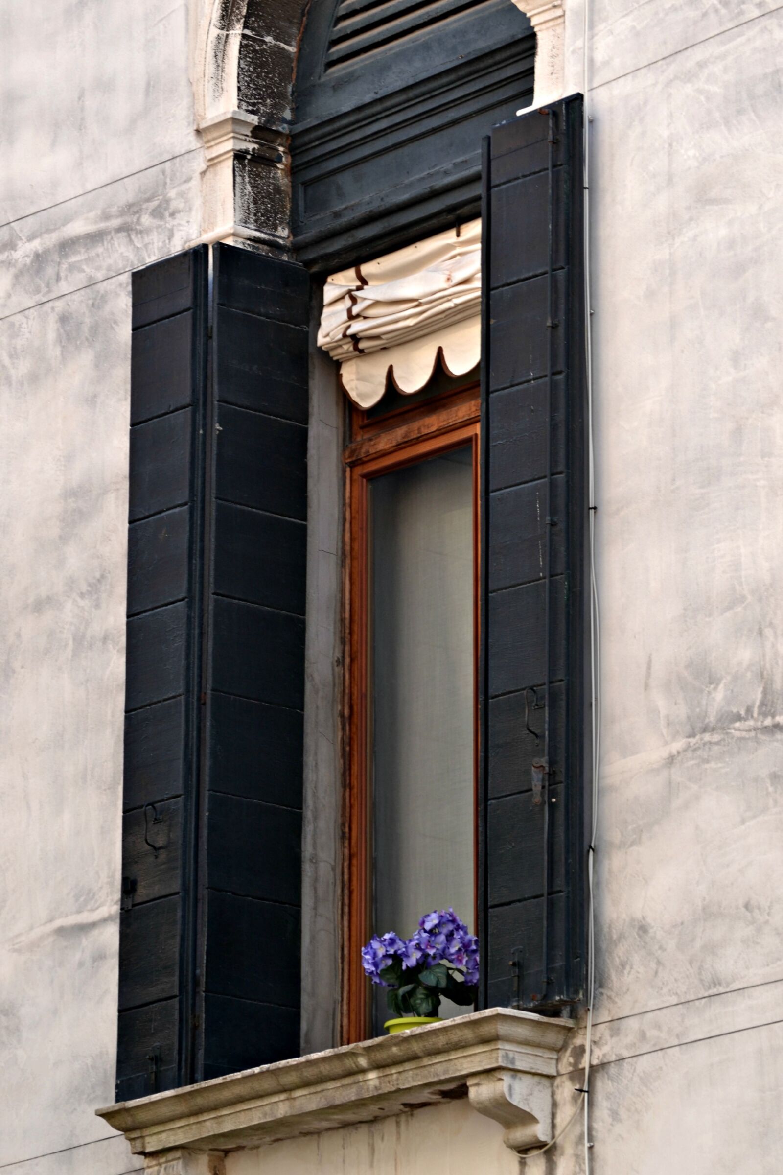 Nikon D3100 sample photo. Window, flowers, shutters photography