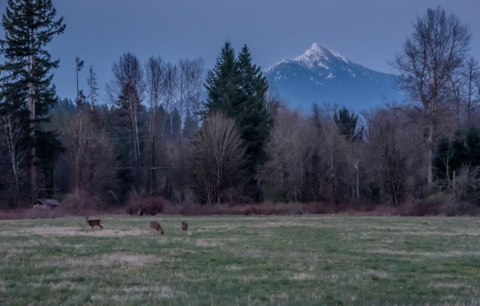 Nikon D750 sample photo. Mountain, trees, landscape photography