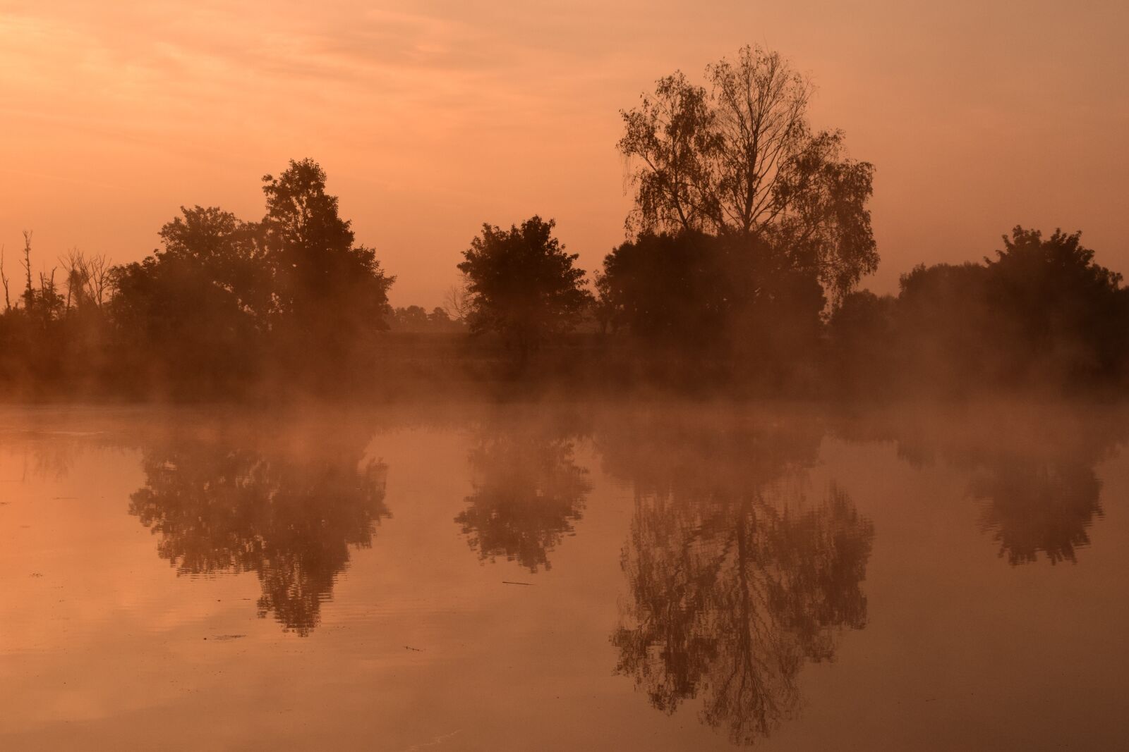 Nikon D3300 sample photo. Sunrise, morgenrot, skies photography