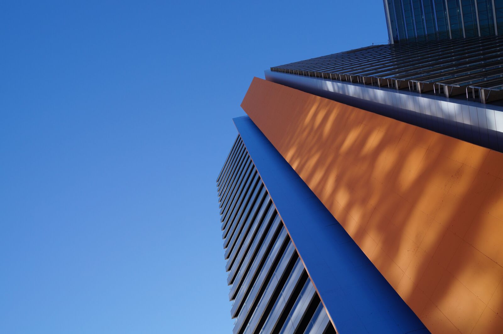 Sony DT 18-55mm F3.5-5.6 SAM II sample photo. No person, architecture, the photography