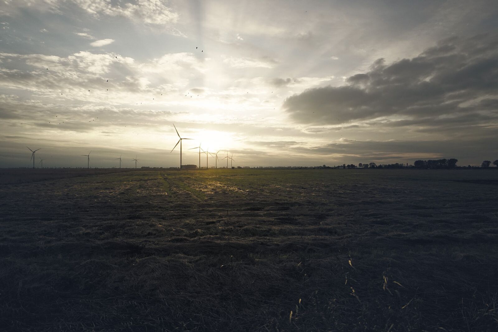 Sony a6500 + Sony E 10-18mm F4 OSS sample photo. Sunset, the windmills, evening photography