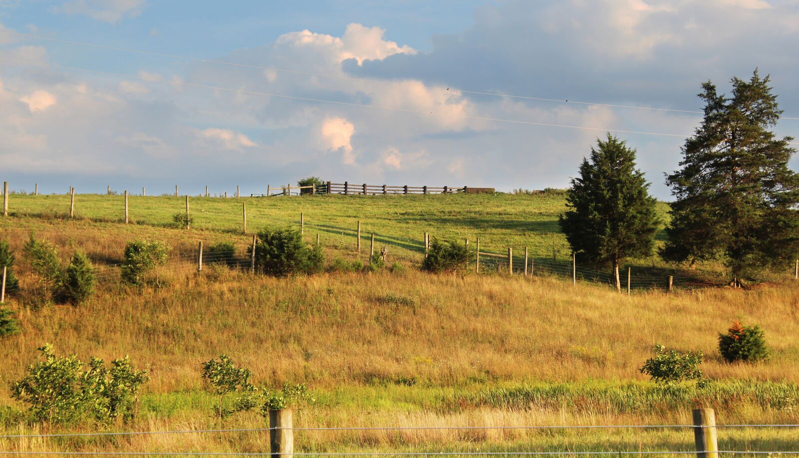 Canon EOS 600D (Rebel EOS T3i / EOS Kiss X5) sample photo. Shenandoah valley, virginia, meadow photography