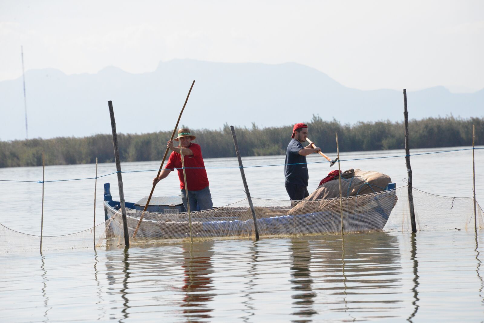 Nikon D600 sample photo. Nature, albufera, marine photography
