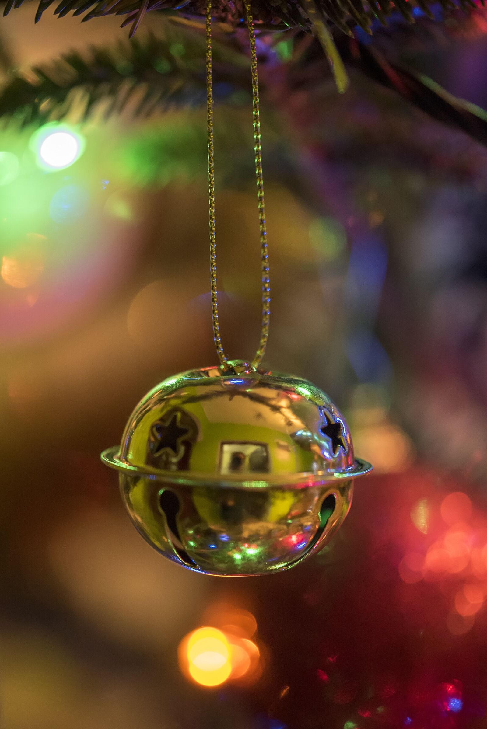 Nikon D750 sample photo. Shining, winter, christmas photography