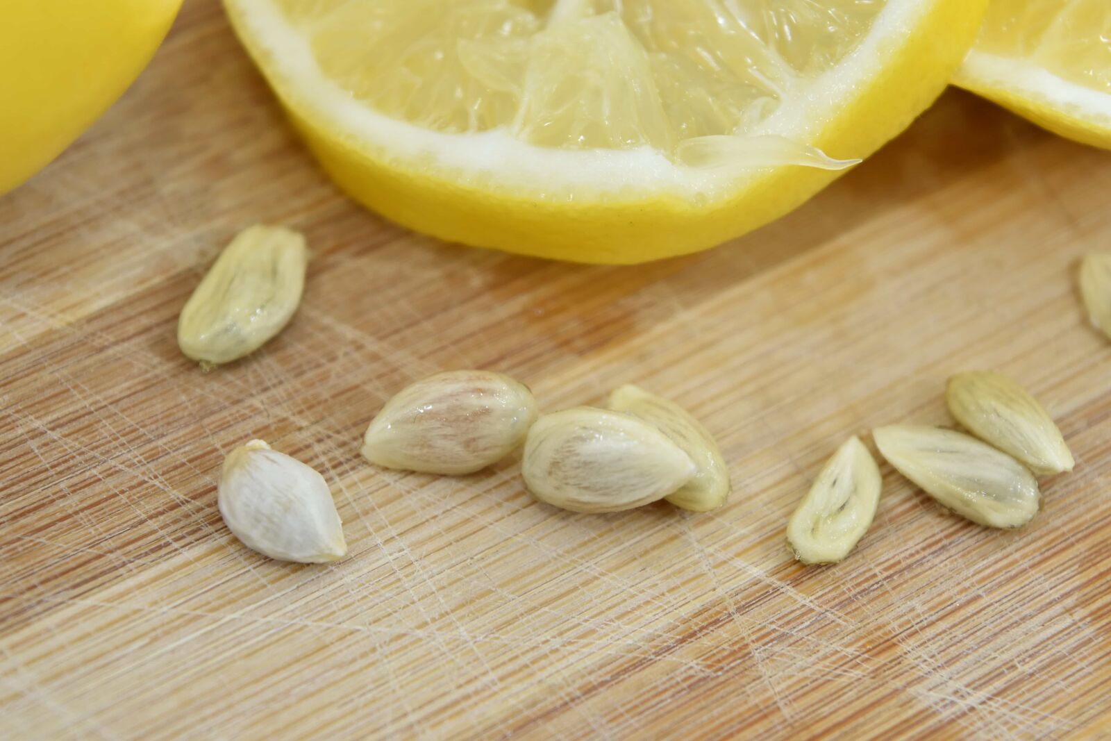 Nikon D5500 sample photo. Close-up, lemon, seed, slices photography
