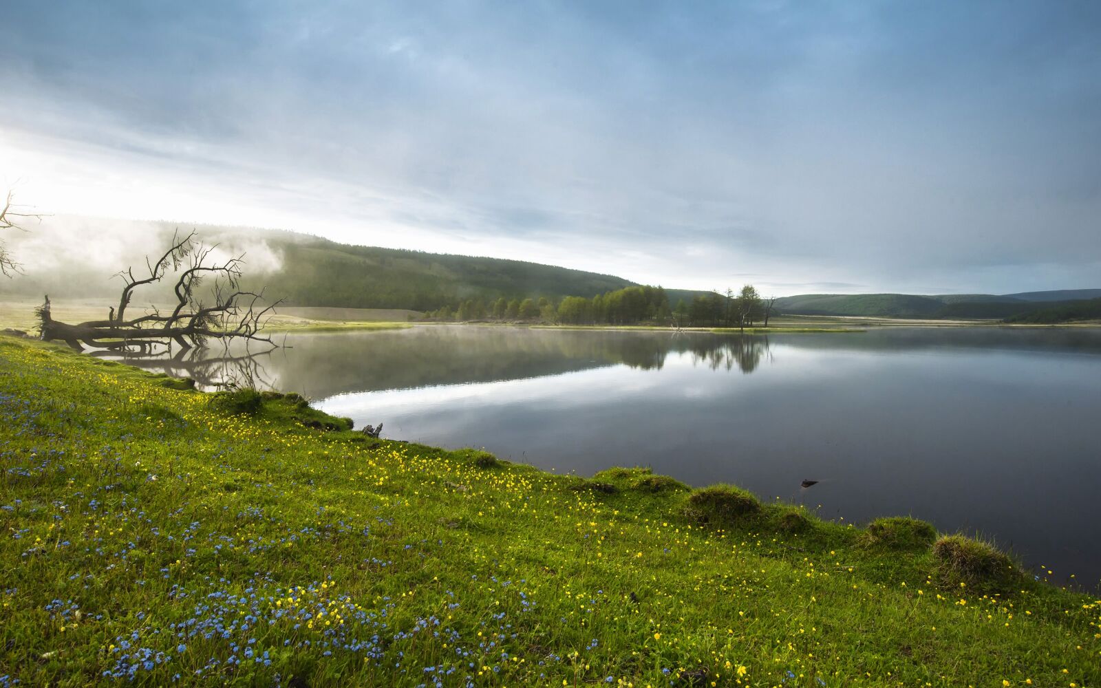 Nikon D800E sample photo. Lakeside, morning haze, flowers photography