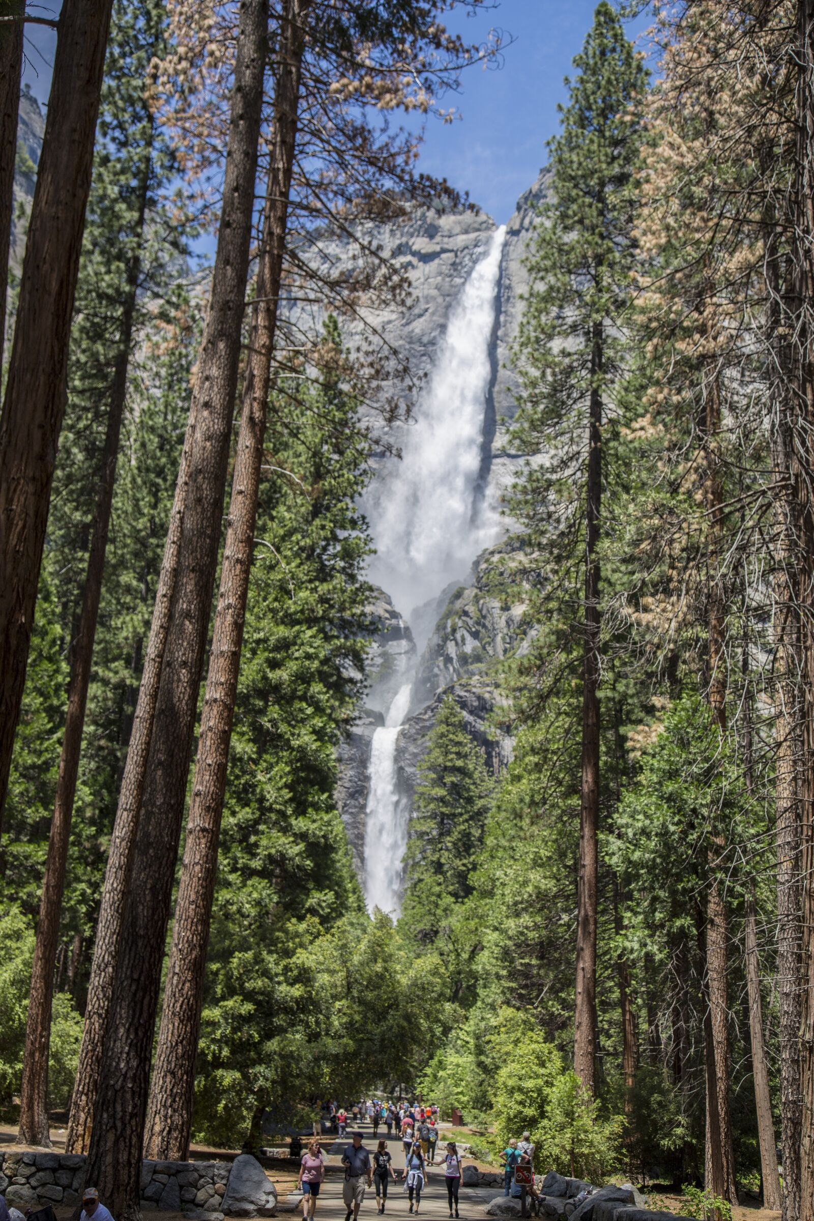 Canon EOS 5D Mark III sample photo. Waterfall, sequoia, trees photography