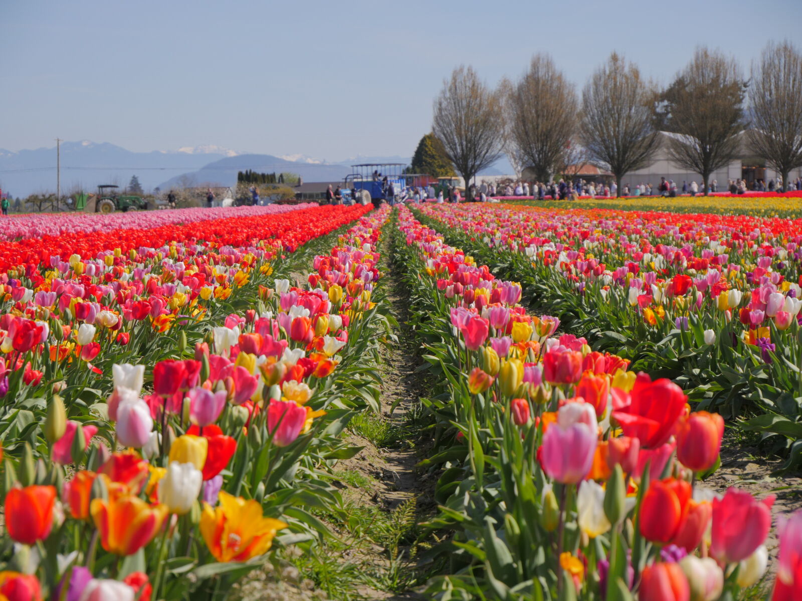 Panasonic Lumix DMC-GX8 sample photo