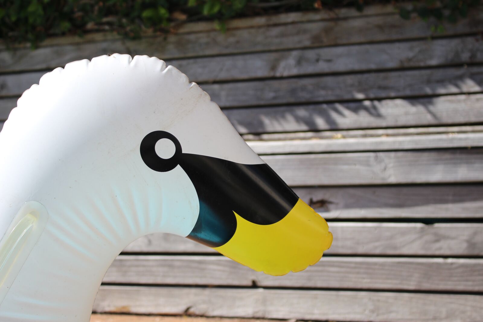 Canon EOS 700D (EOS Rebel T5i / EOS Kiss X7i) sample photo. Duck, floatation, toy photography