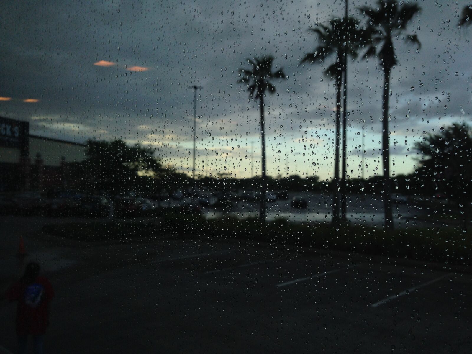 iPhone 5 back camera 4.12mm f/2.4 sample photo. Palm trees, rain, water photography
