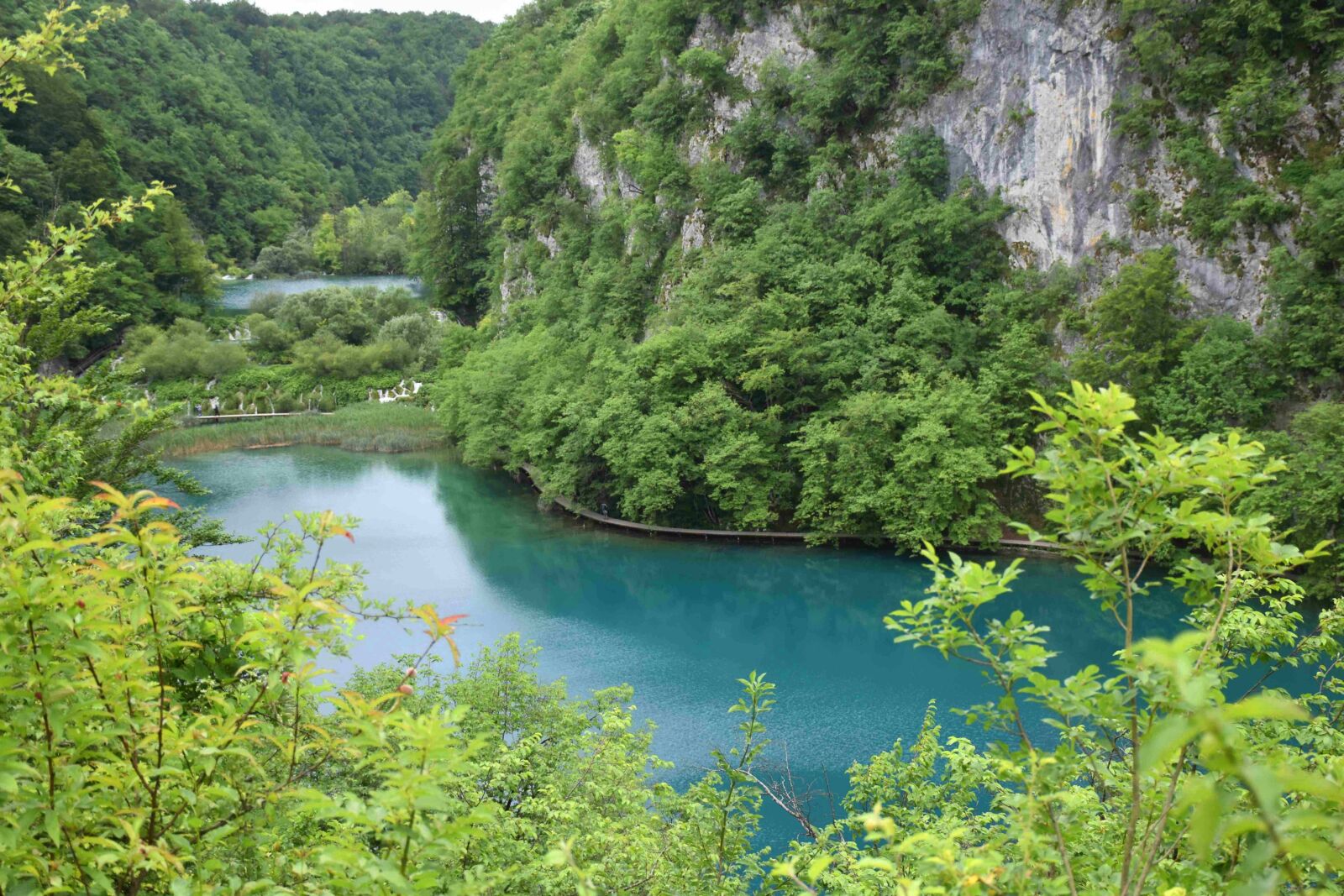 Nikon D5500 sample photo. Plitvice, lake, croatia photography