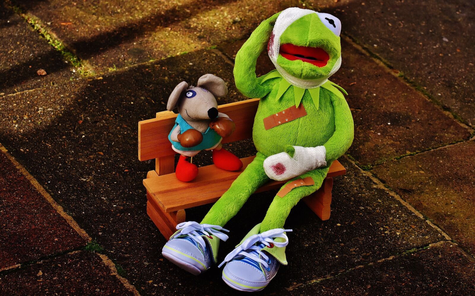 Nikon D7200 sample photo. Kermit, mouse, stuffed animal photography