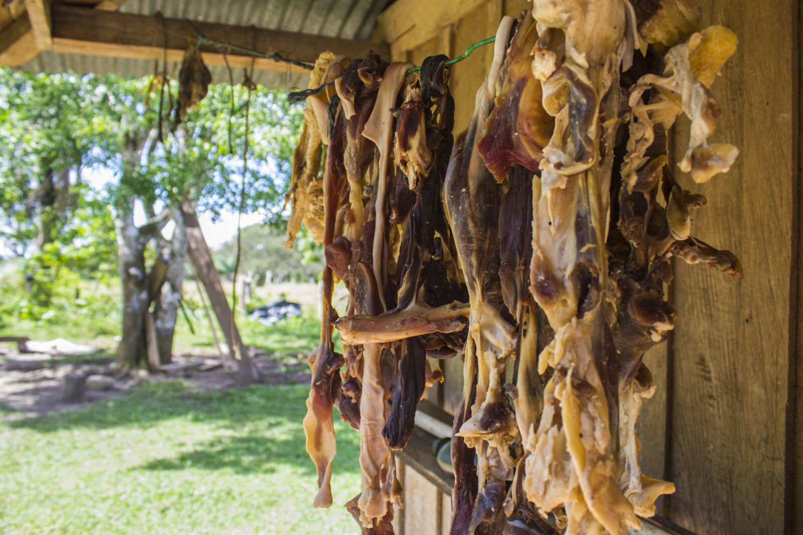 Canon EOS 1100D (EOS Rebel T3 / EOS Kiss X50) sample photo. Carne, colombia, dried, beef photography