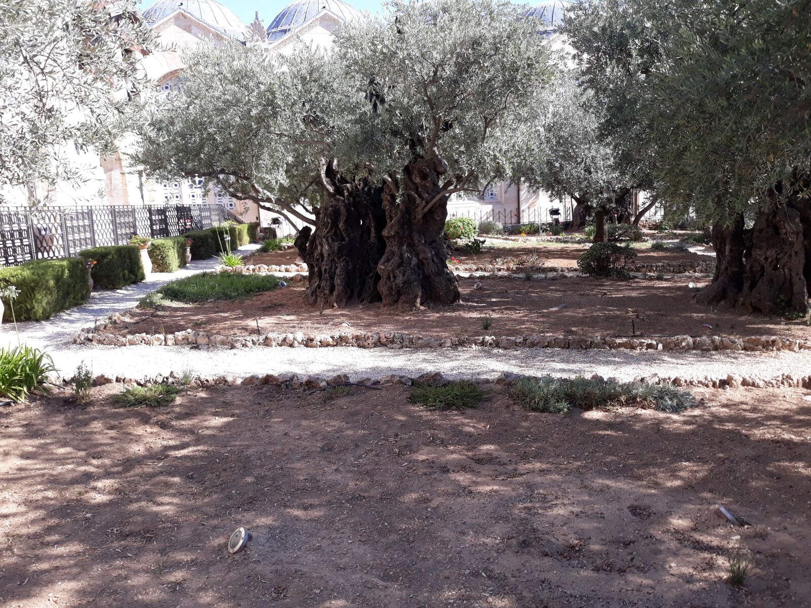 Samsung Galaxy J7 Pro sample photo. Israel, jerusalem, mount of photography