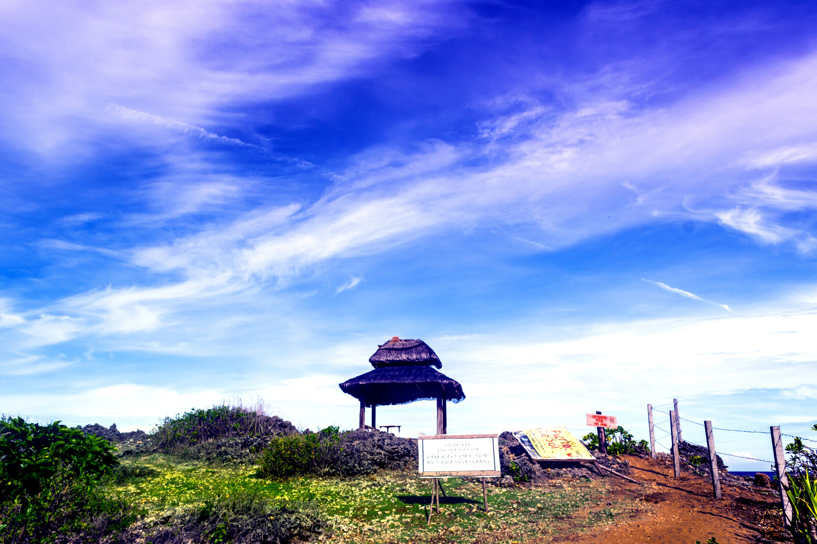 Nikon D3100 sample photo