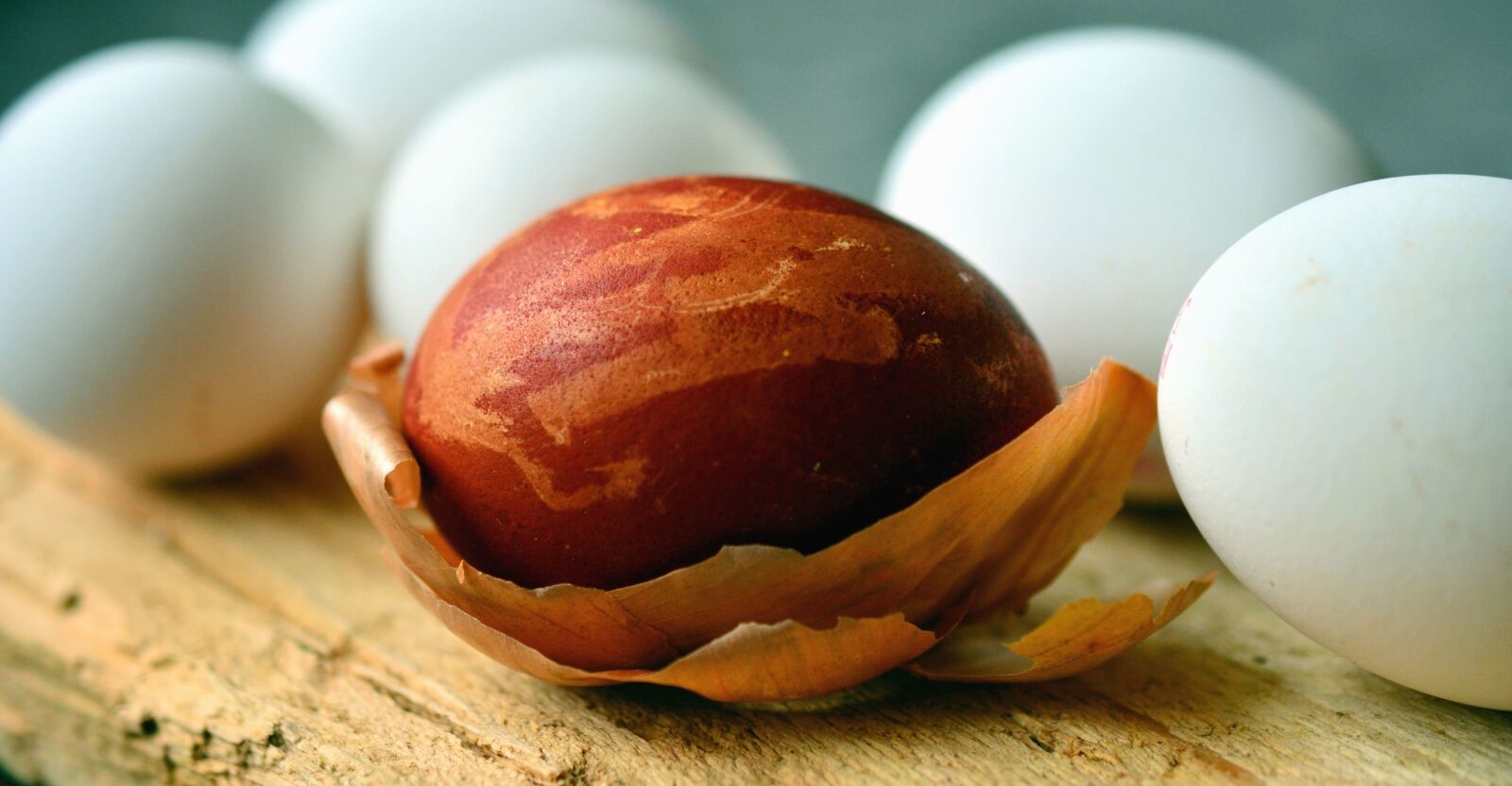 Nikon D5200 sample photo. Onion, egg, chicken, easter photography
