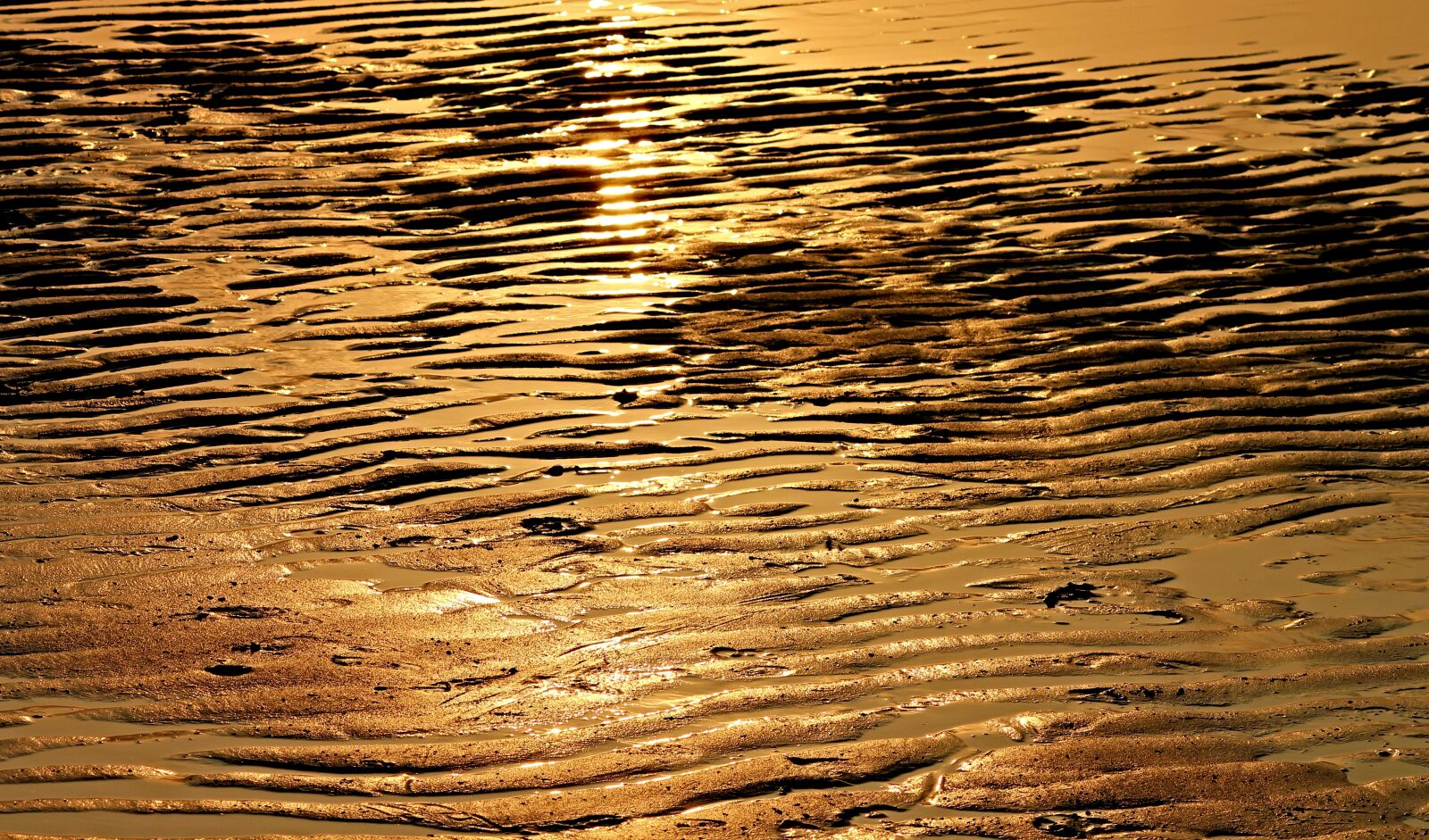 Canon EOS 1100D (EOS Rebel T3 / EOS Kiss X50) sample photo. Beach, ebb, sunlight photography