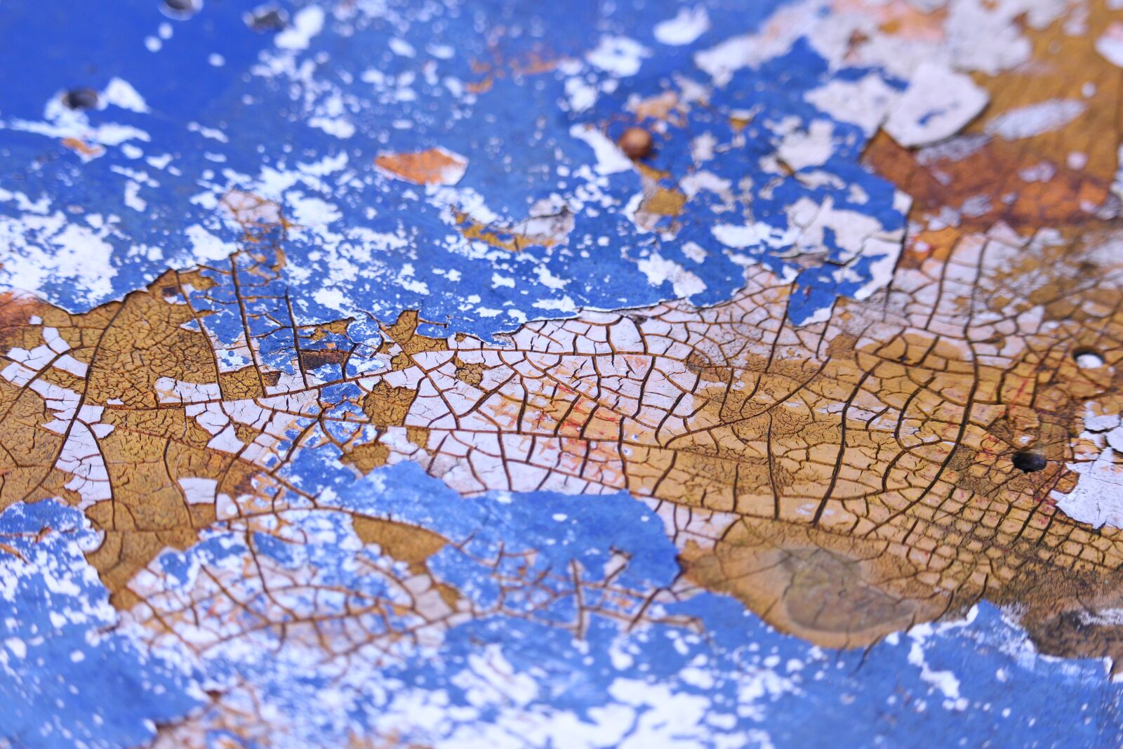 Canon EF-S 55-250mm F4-5.6 IS STM sample photo. Old paint, color, background photography