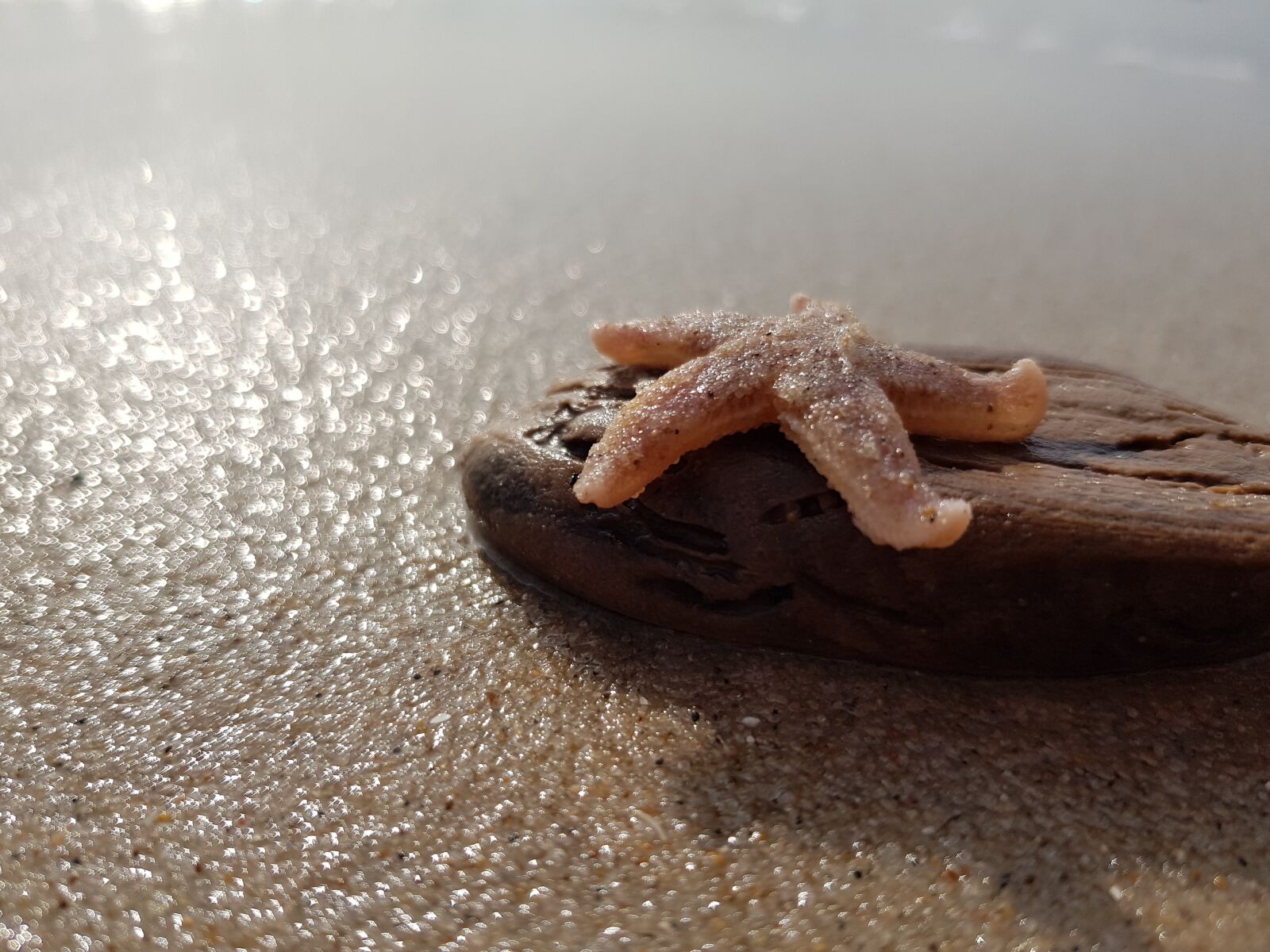 Samsung Galaxy S8 sample photo. Beach, sea, coast photography