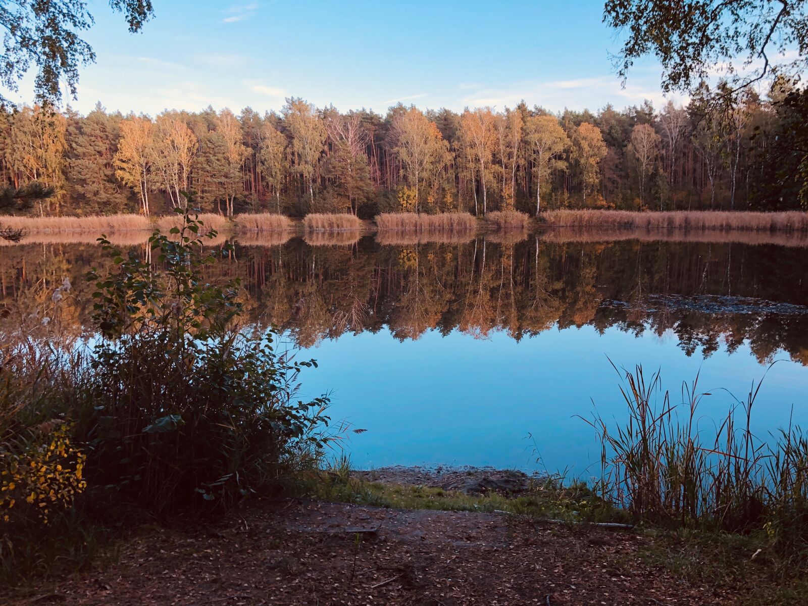 iPhone 8 back camera 3.99mm f/1.8 sample photo. Mirror, water, lake photography