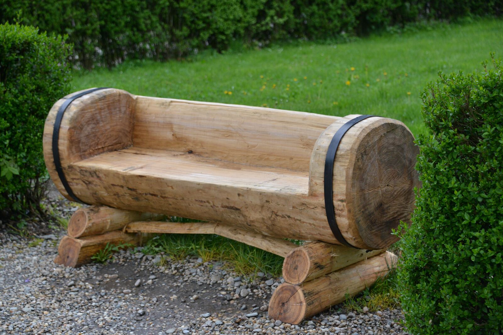 Nikon D800 sample photo. Wood, log, tree photography