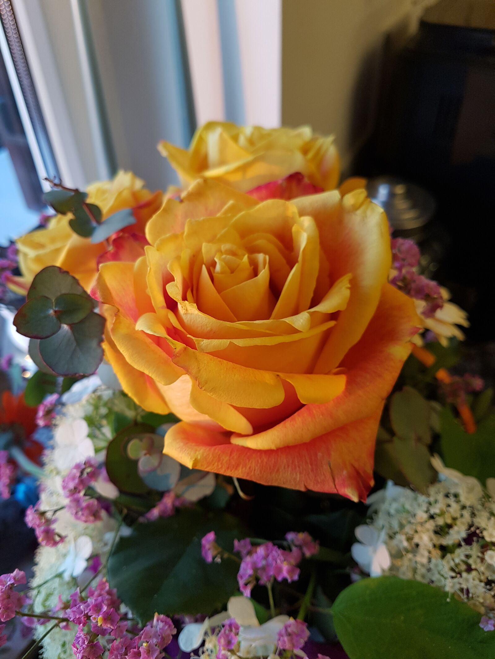 Samsung Galaxy S7 sample photo. Rose, orange, flower photography