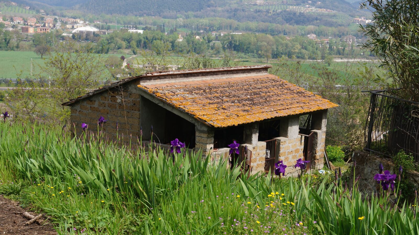 Sony SLT-A37 sample photo. Old house, scenery, building photography