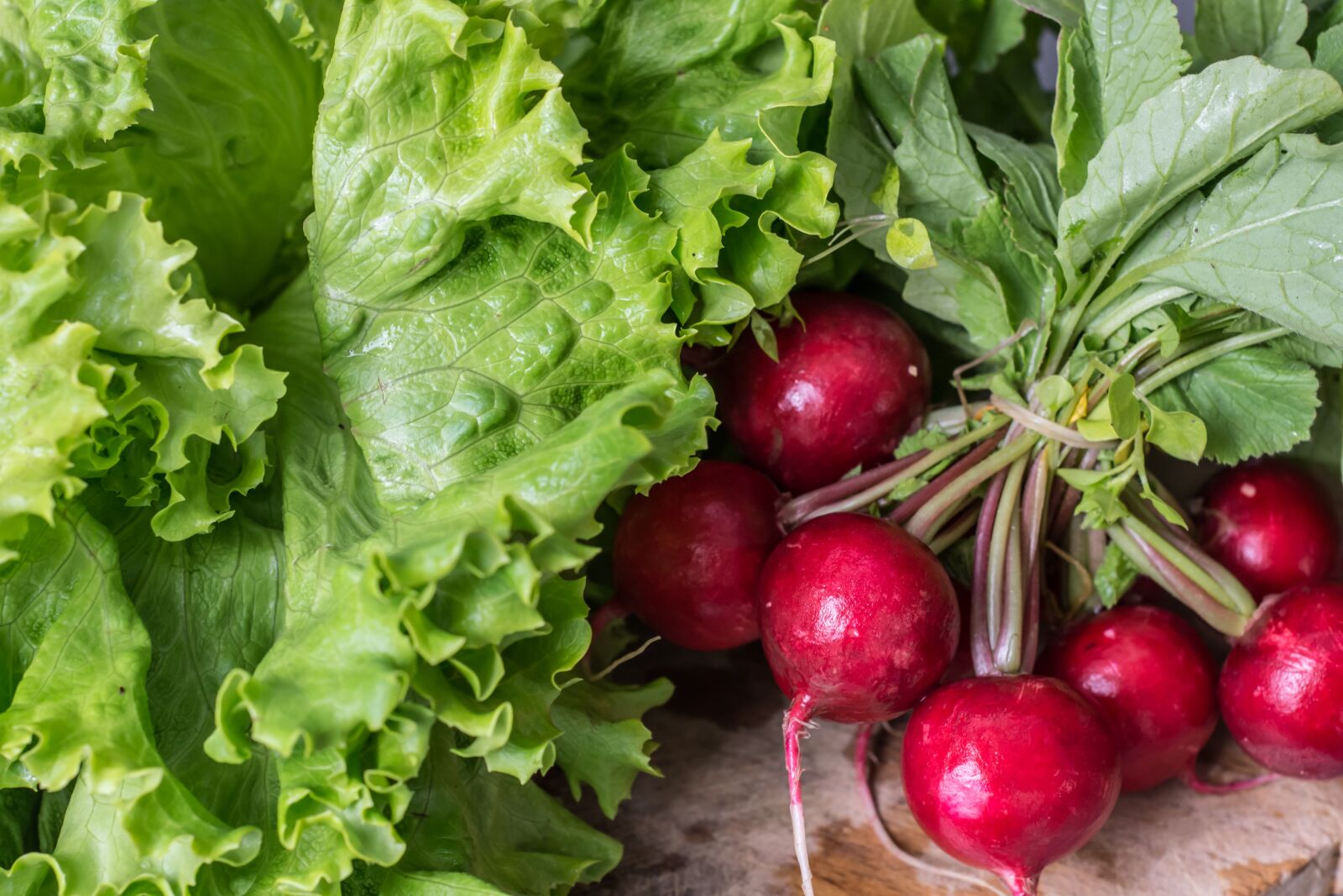 Nikon D7200 sample photo. Garden radish, vegetables, healthy photography