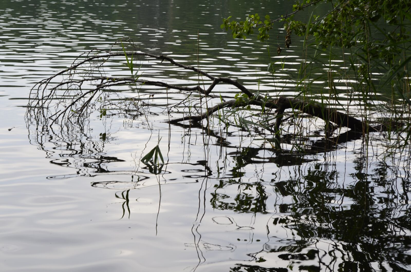 Nikon D5100 sample photo. Nature, lake, water photography