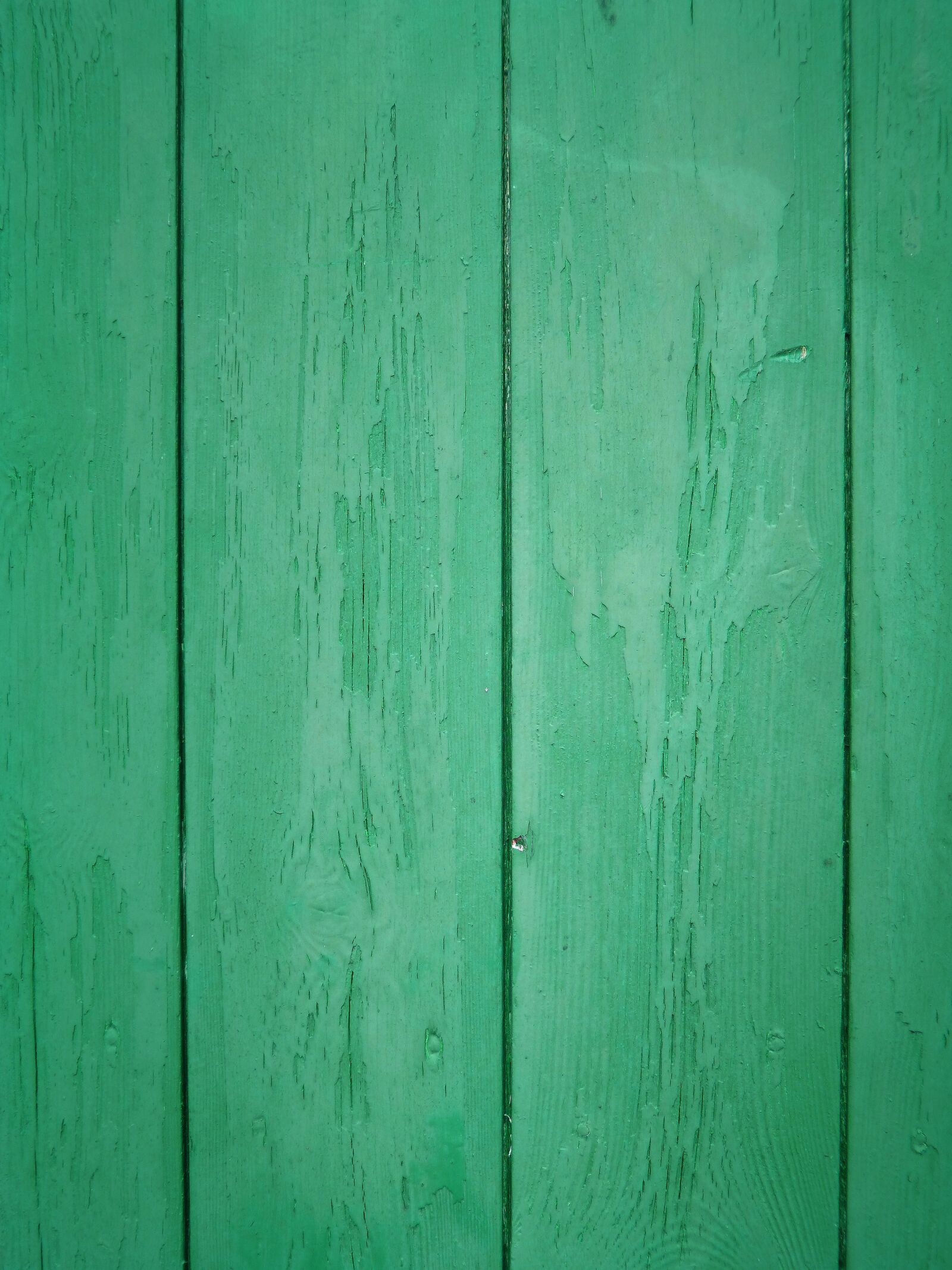 Panasonic DMC-FZ62 sample photo. Texture, background, green photography