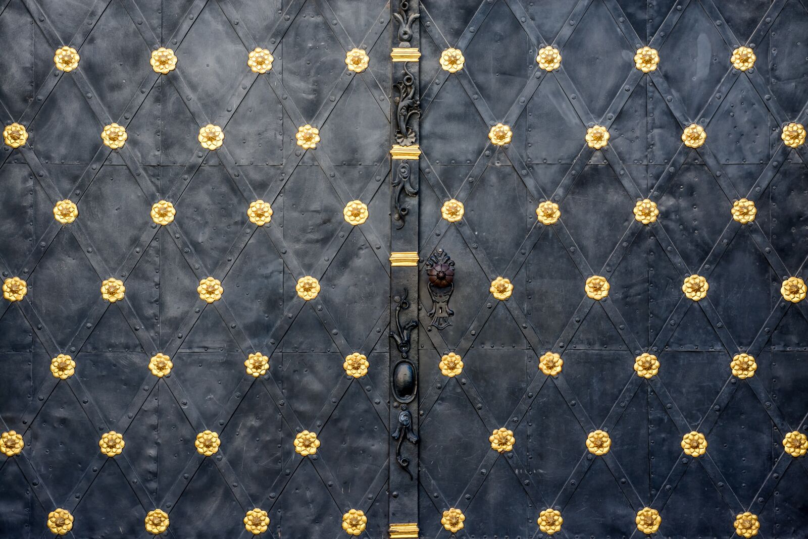 Nikon D800 sample photo. Gate, iron, metal photography