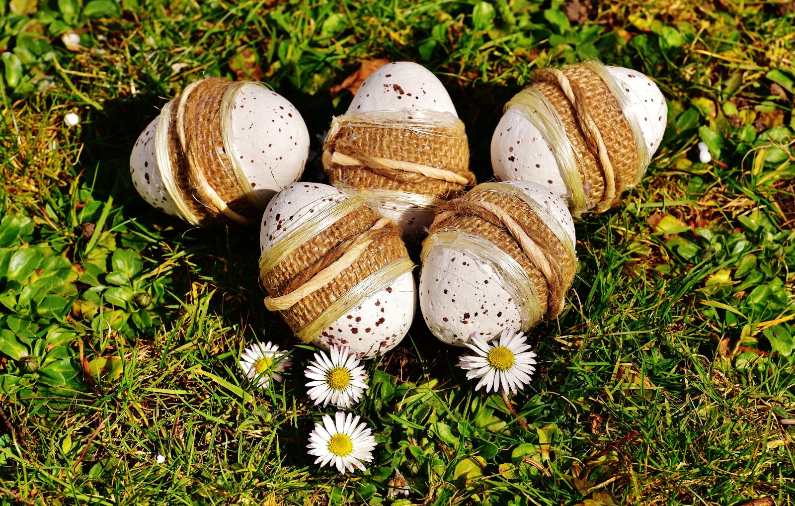 Nikon D7200 sample photo. Easter, egg, easter eggs photography