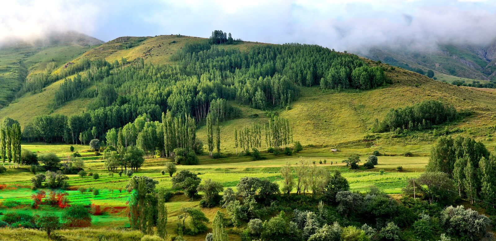 Nikon D5100 sample photo. Nature, landscape, kaçkars photography