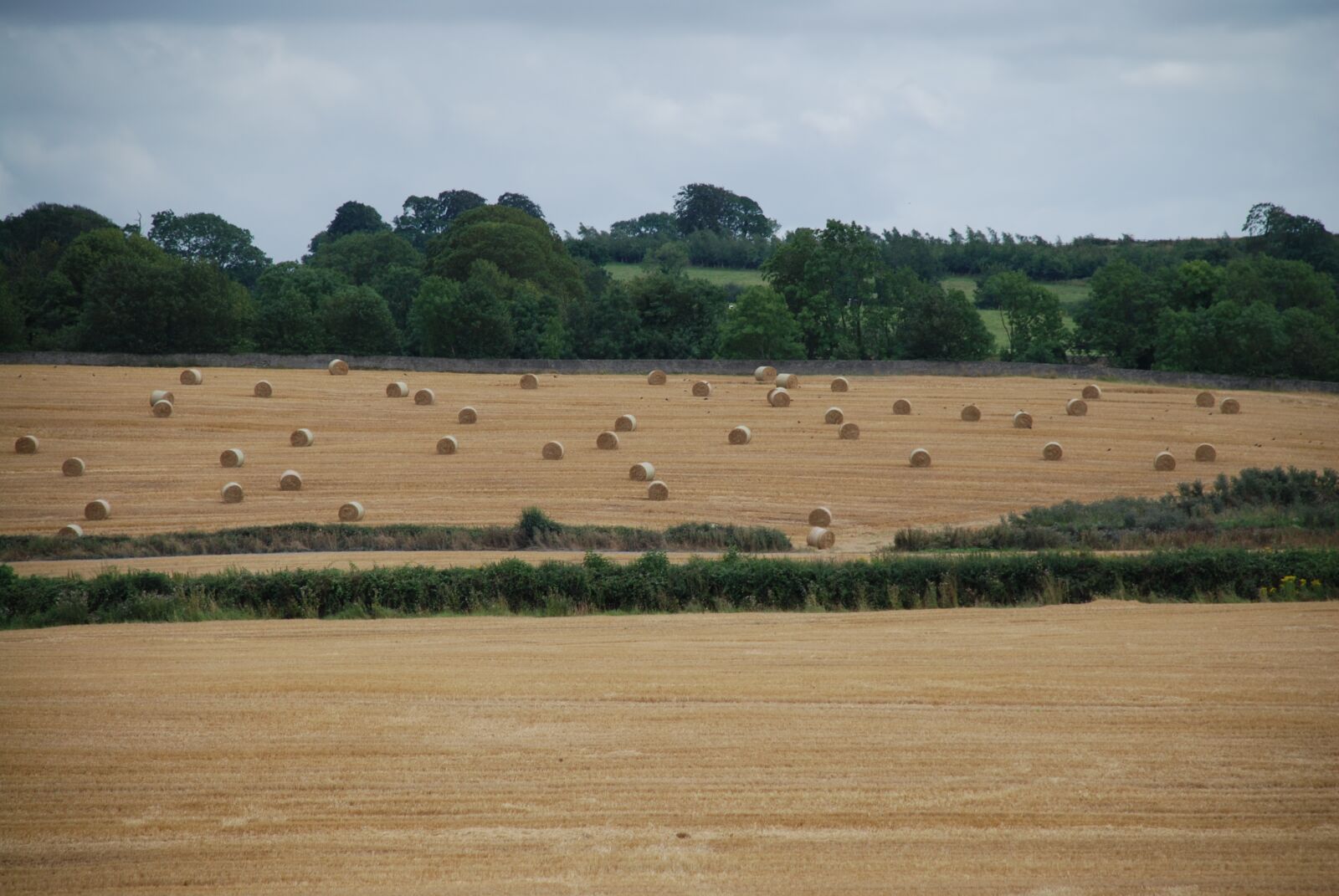 Nikon D80 sample photo. Field, bales, straw photography