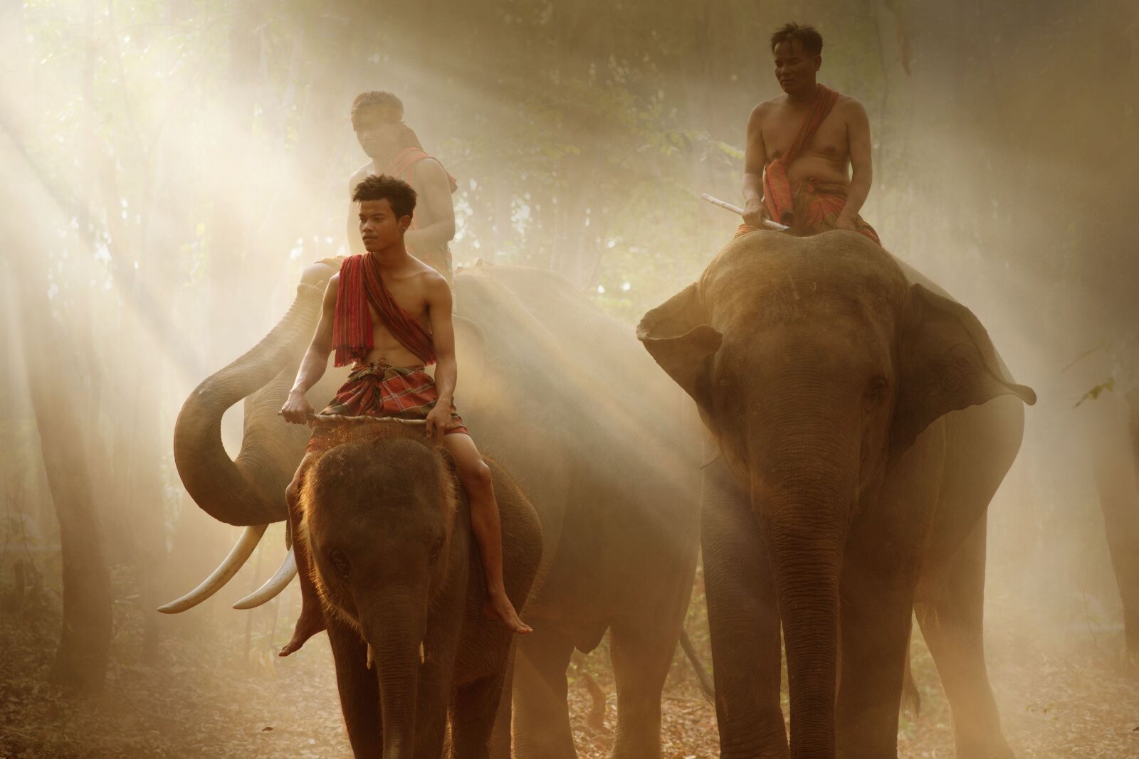 Nikon D3100 sample photo. Thailand, summer, nature photography