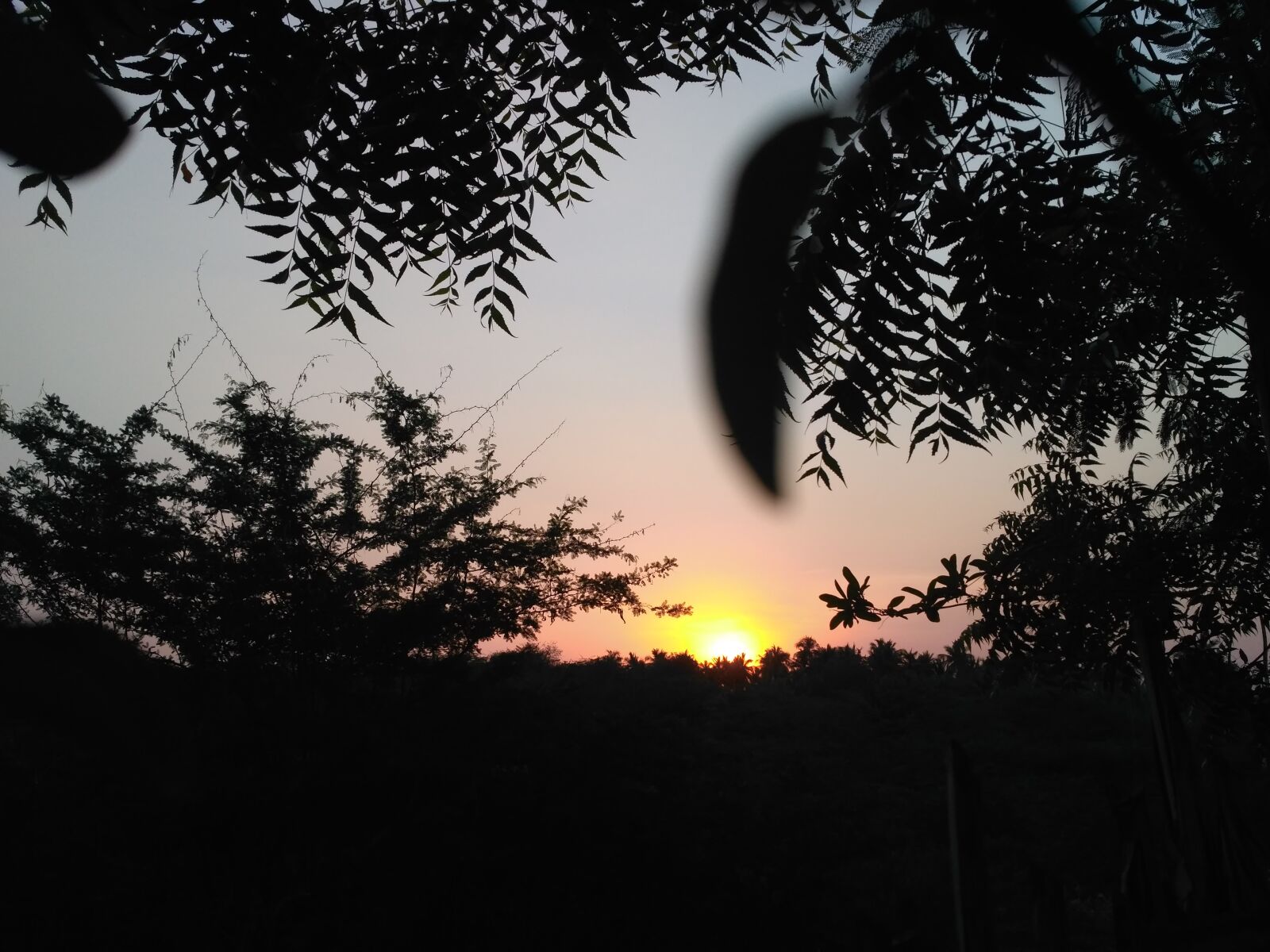 Xiaomi Redmi 3S sample photo
