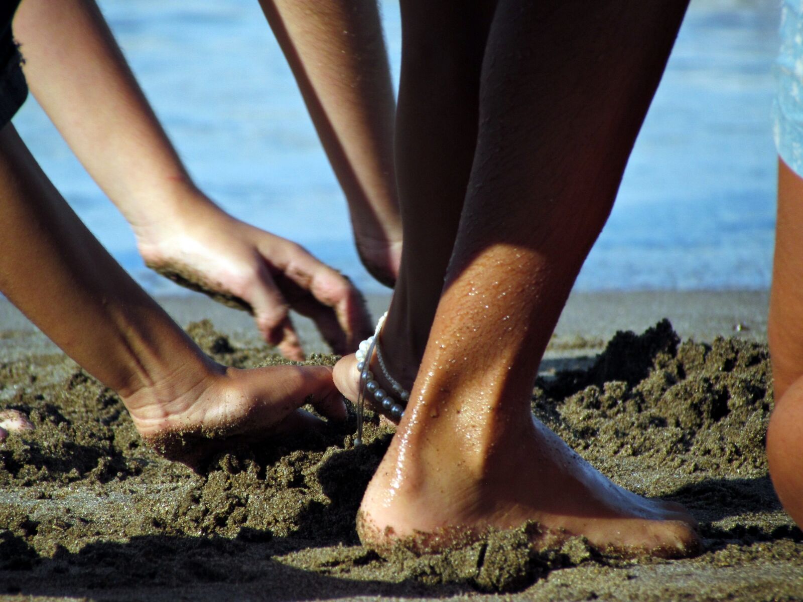 Canon PowerShot SX30 IS sample photo. Between, sand, game photography