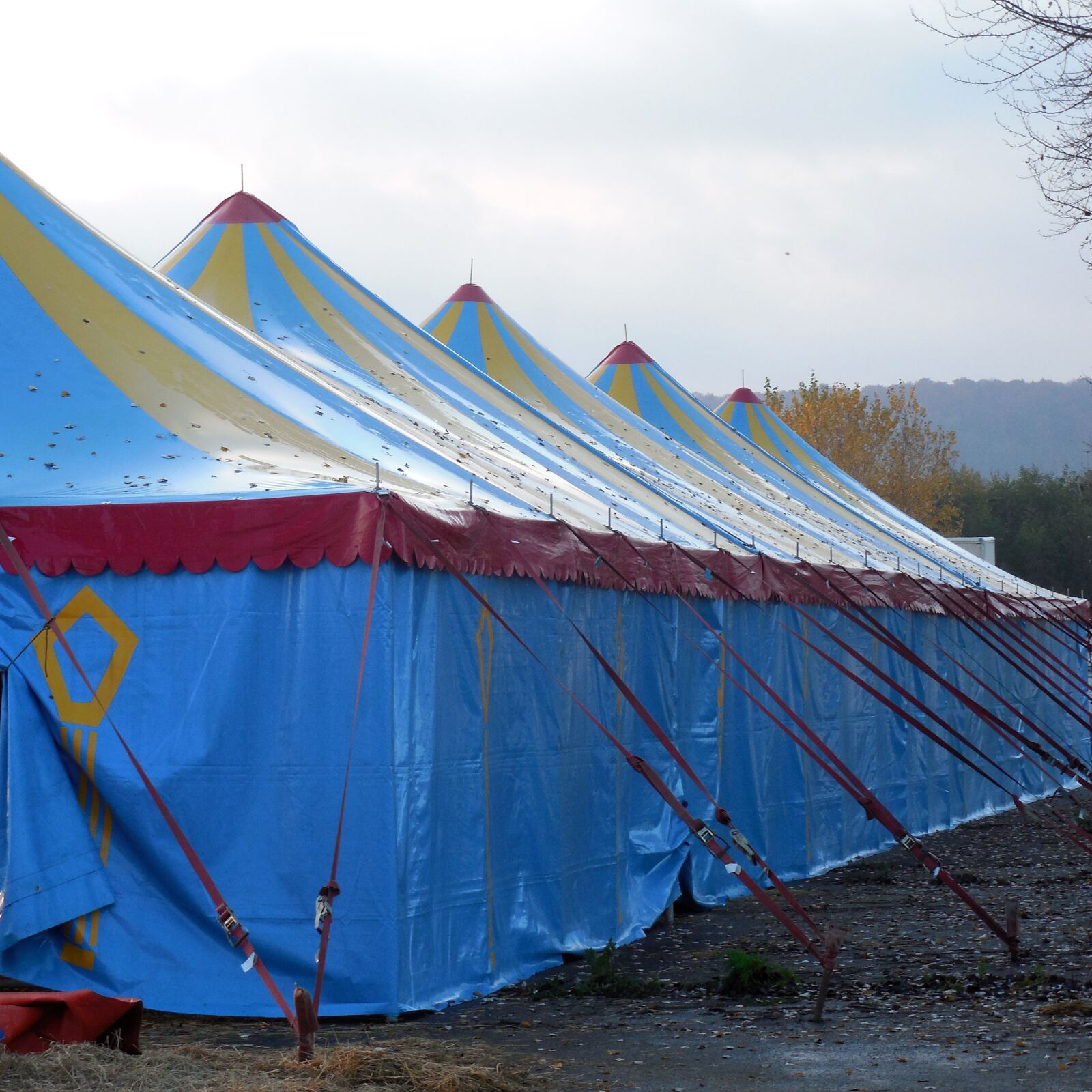 Nikon COOLPIX L620 sample photo. Tent, circus, circus tent photography
