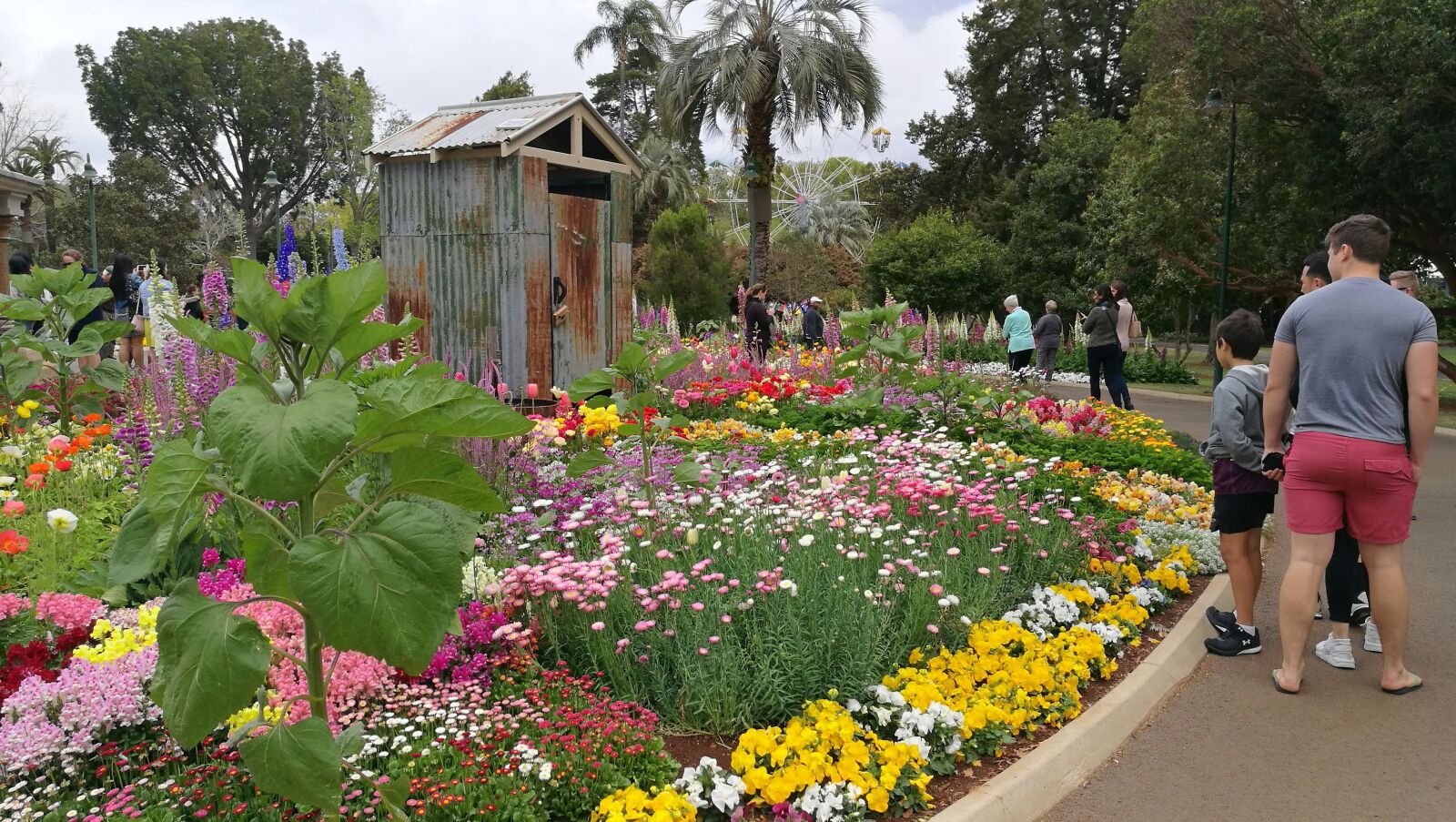HUAWEI P9 sample photo. Flowers, outhouse, carnival of photography
