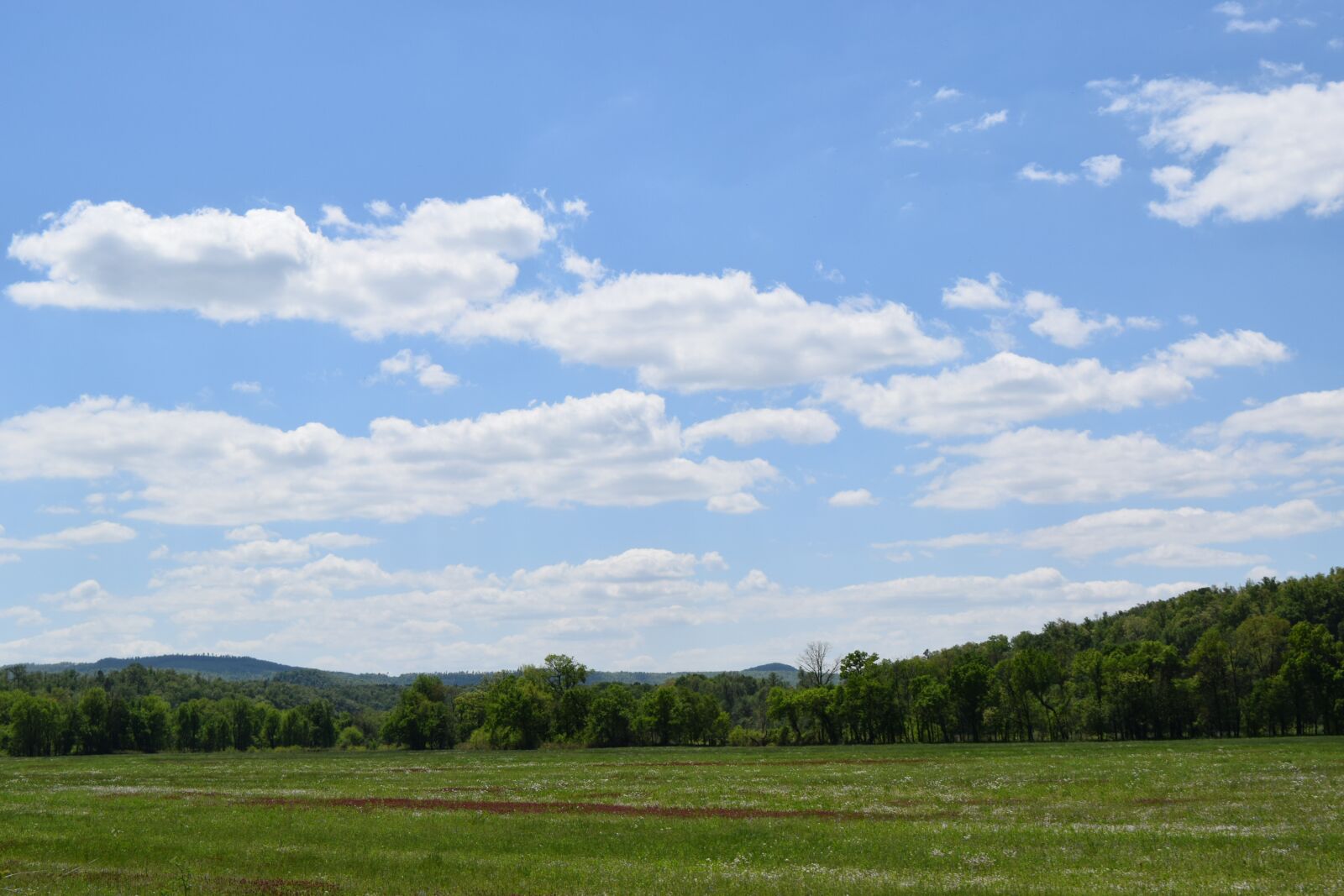 Nikon D3300 sample photo. Arkansas, open sky, clouds photography