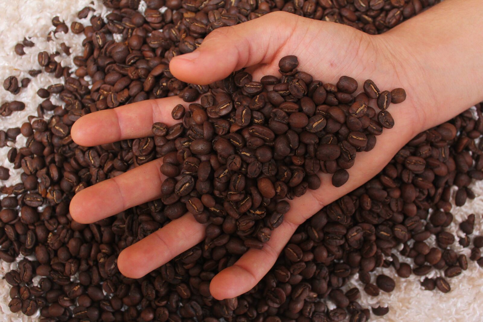 Canon EOS 60D sample photo. Coffee, drink, caffeine photography