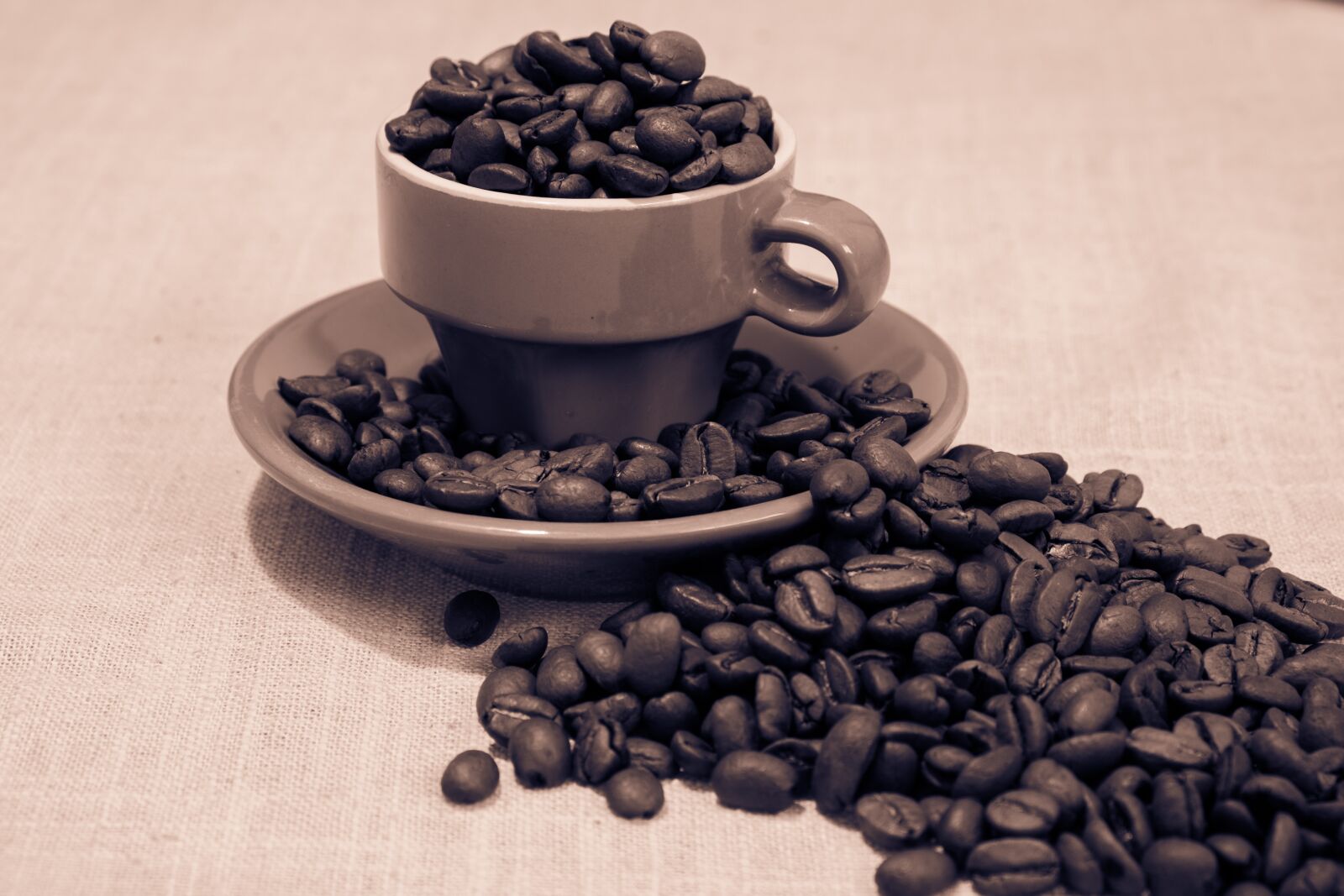 Fujifilm X-T10 sample photo. Coffee, beans, arabica photography