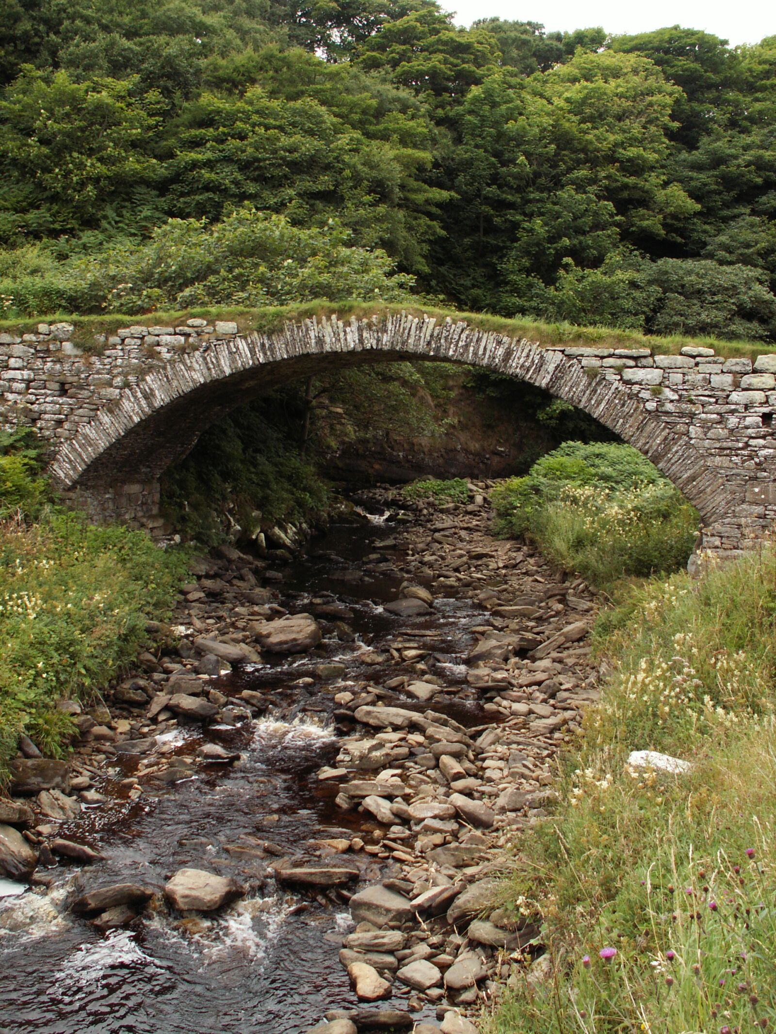 KONICA MINOLTA DiMAGE Z5 sample photo. Stone, nature, landscape photography