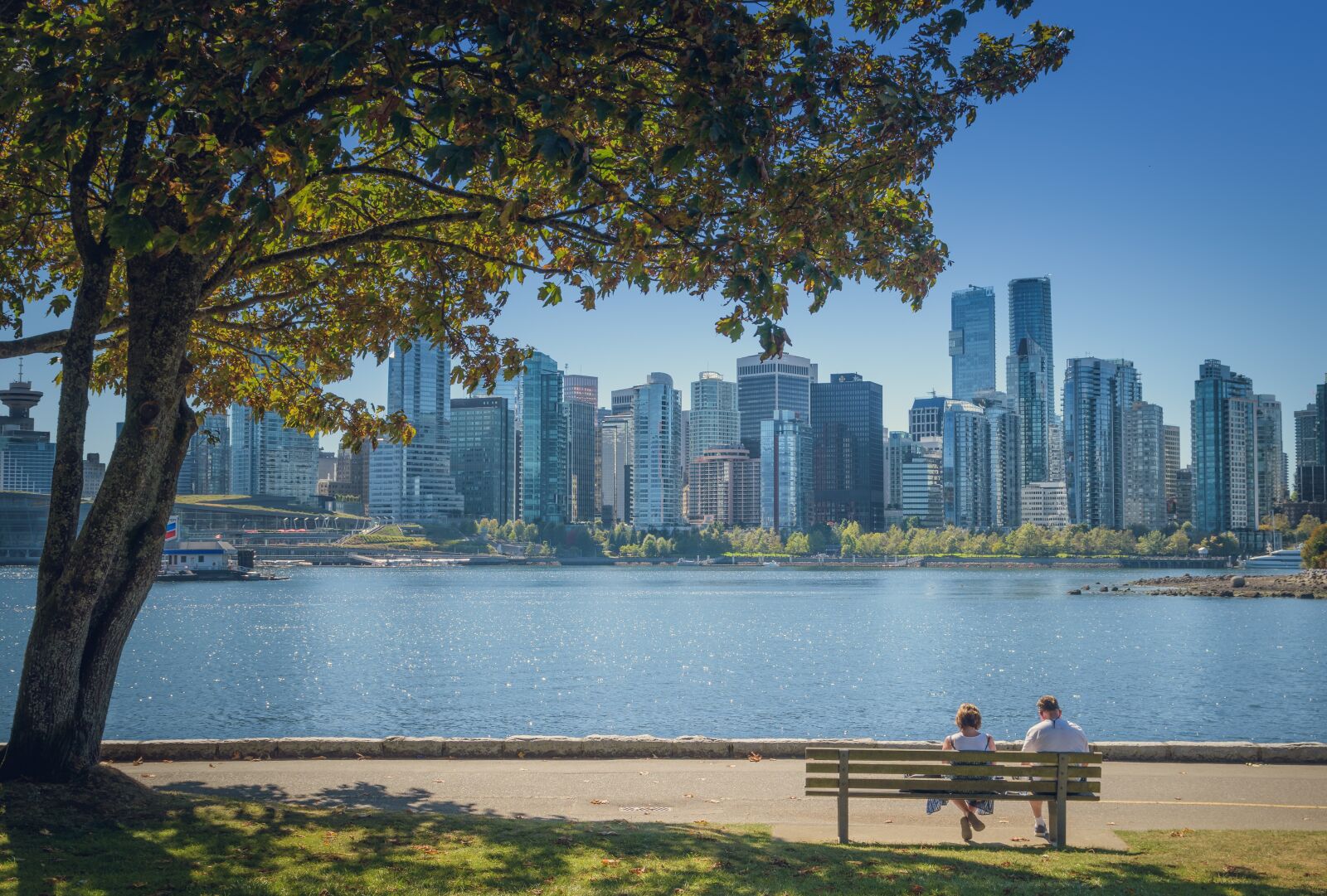 Nikon D5500 sample photo. Vancouver, canada, stanley park photography