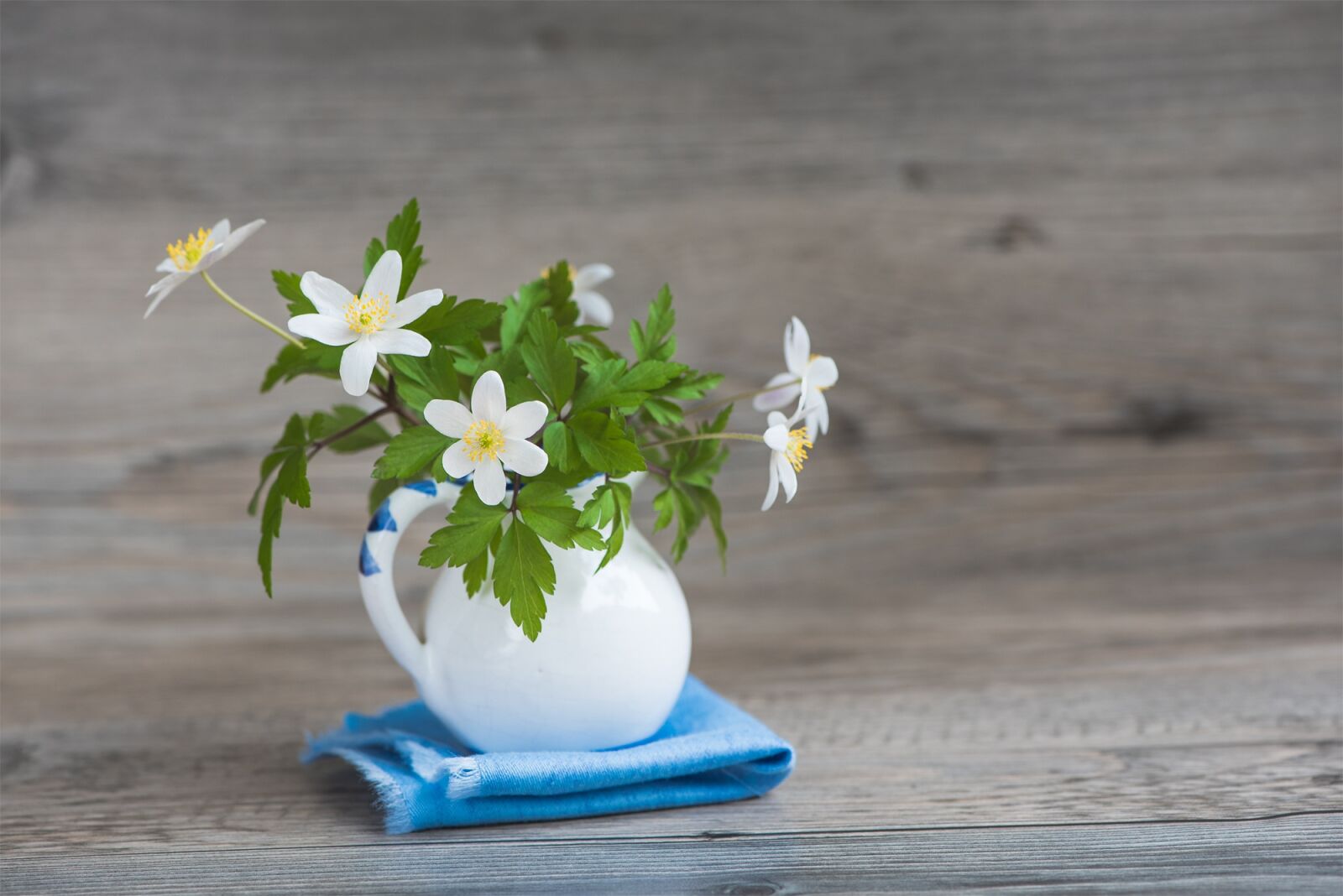 Nikon D750 sample photo. Bush-windr schen, ranunculaceae, anemone photography