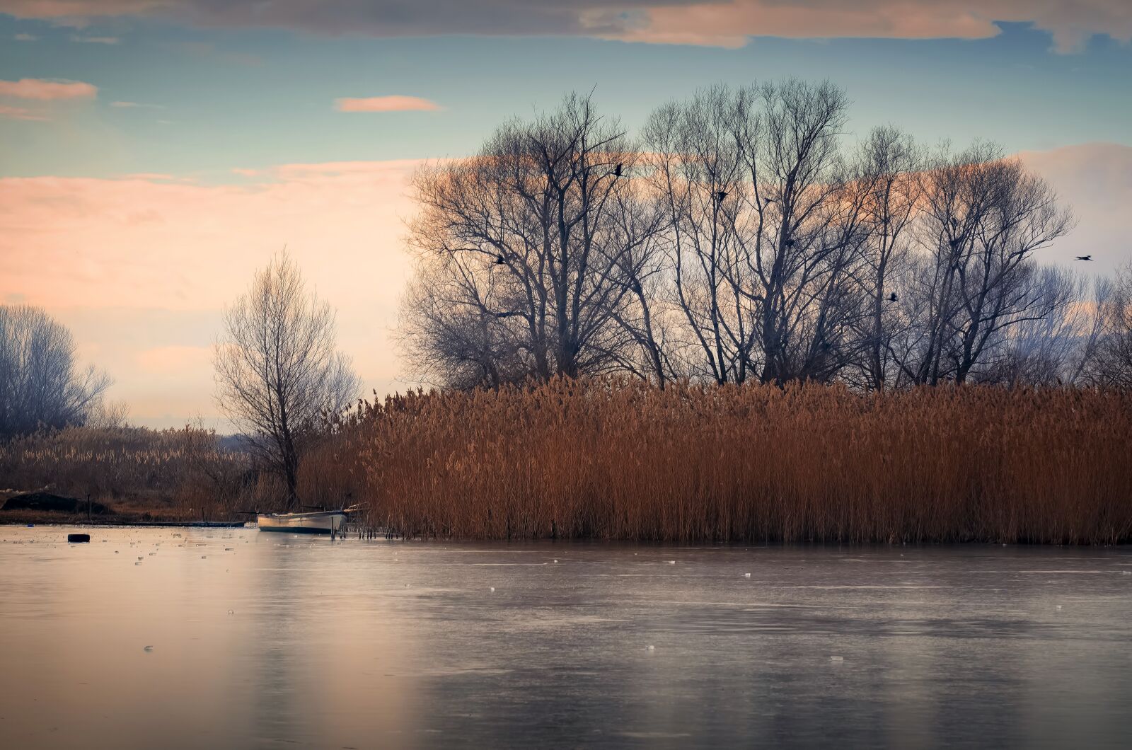 Nikon D7000 sample photo. Pastel, colors, winter photography