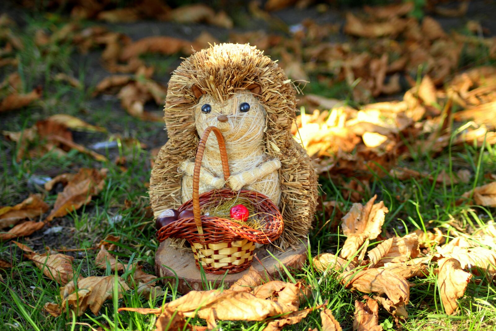 Canon EOS 1200D (EOS Rebel T5 / EOS Kiss X70 / EOS Hi) sample photo. Hedgehog, the figurine, decoration photography